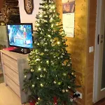 Tilhi 1 Holiday home *