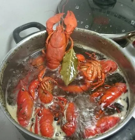 Сasa de vacaciones Tilhi 1